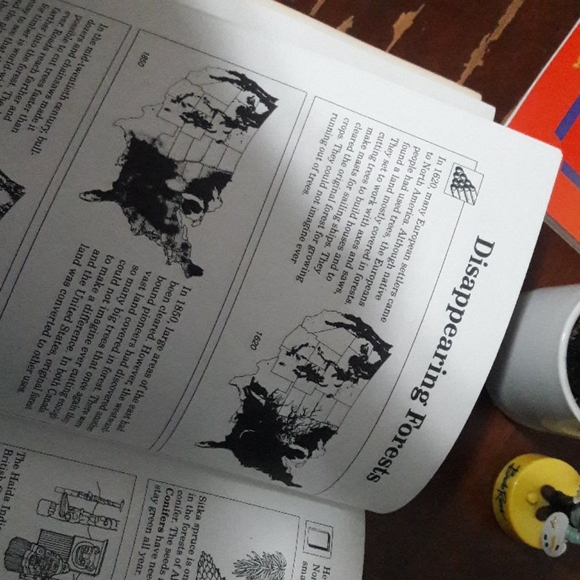 Ancient Forests Workbook by Margaret Anderson | homeschool - Picture 6 of 7